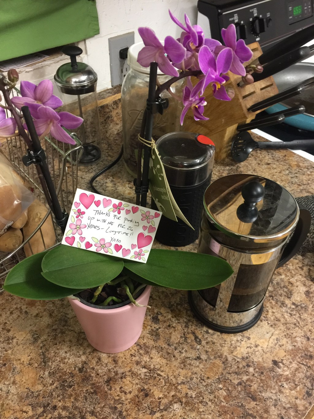 Ash Wednesday is a perfect&nbsp;Valentine.