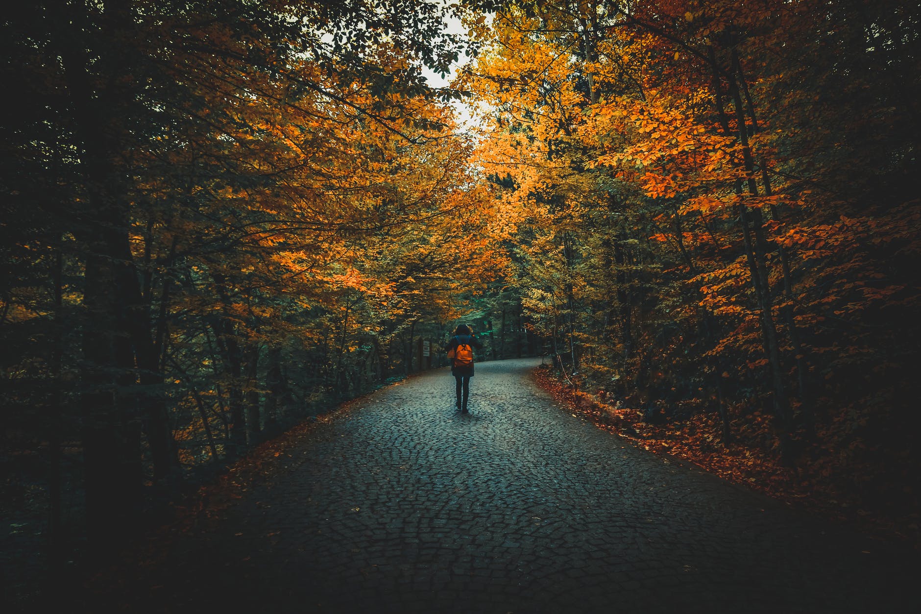 man walking on road with orange bag surrounded by trees